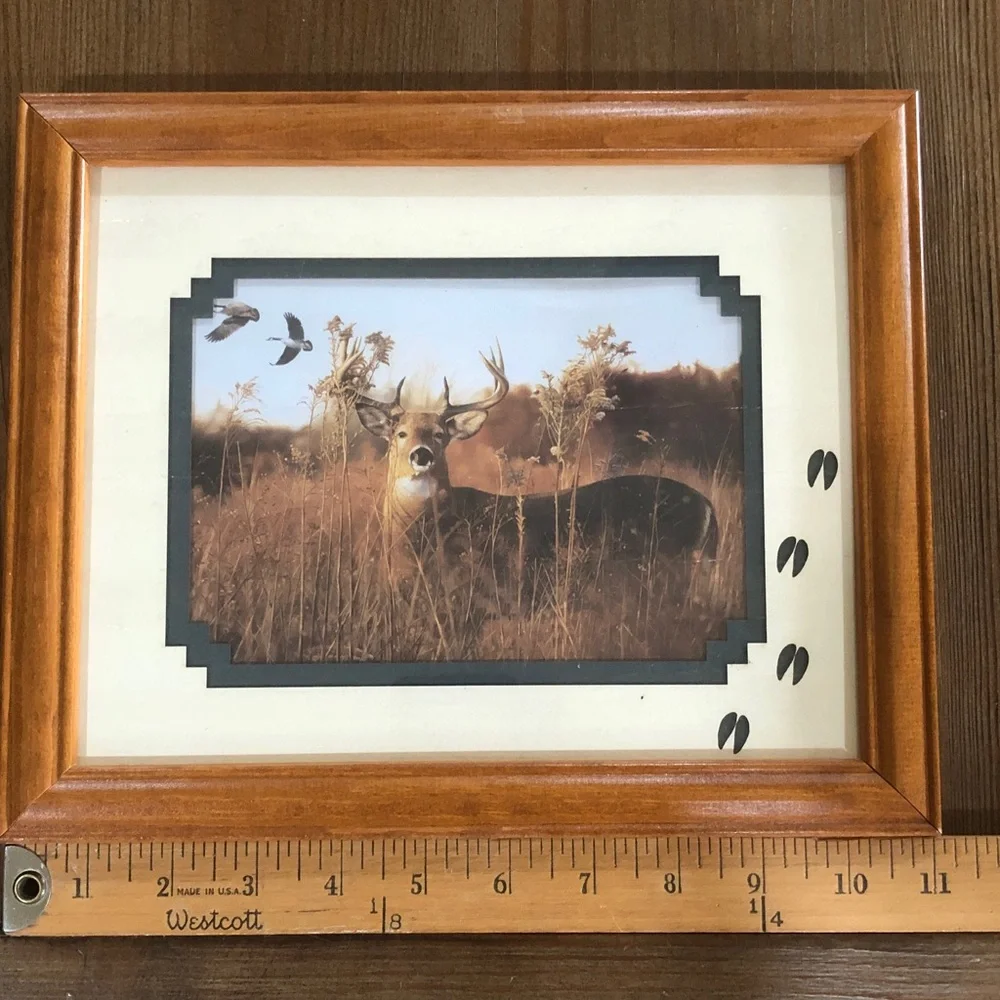Deer Wall Art Print Picture in Wood Frame